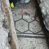 Nuovo mosaico e ritrovamenti in via Strinati (1)