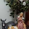 17 - Presepe di Laura e Natale Campanini (Pievesestina di Cesena)