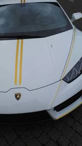 Lamborghini firmata