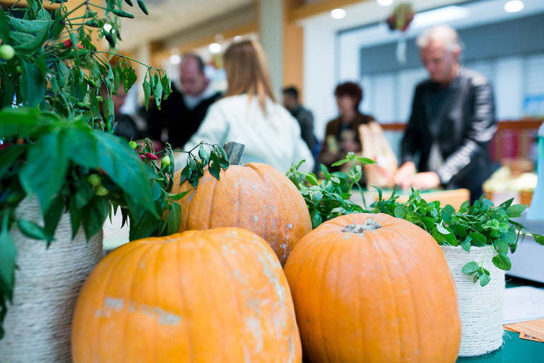 Al Mercato Coperto mercoledì 31 ottobre festa di Halloween per grandi e bambini