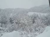 La neve in altra valle del Savio. Foto d'archivio Corriere Cesenate
