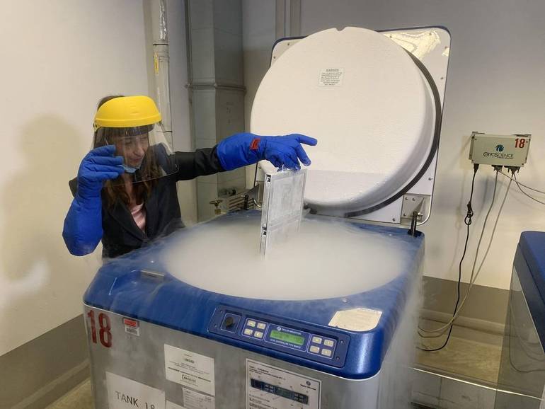 La dottoressa Elena Bondioli estrae un campione di pelle crioconservato in uno dei 17 tank della Banca della cute di Cesena
