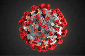 Coronavirus, i nuovi positivi sono davvero pochi