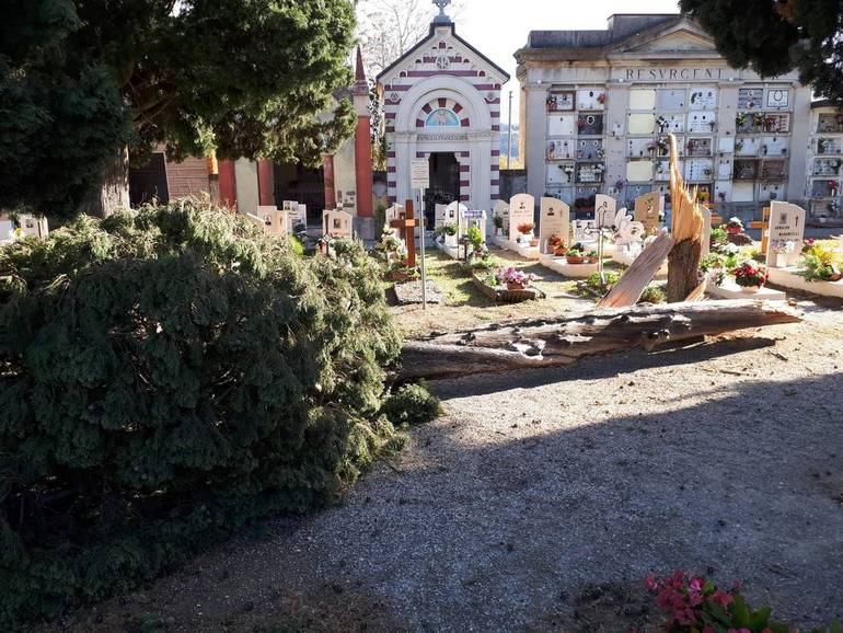 Danni da vento, diversi alberi crollati nei cimiteri