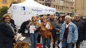 Gli artigiani pensionati scendono in piazza contro la demenza senile⁩
