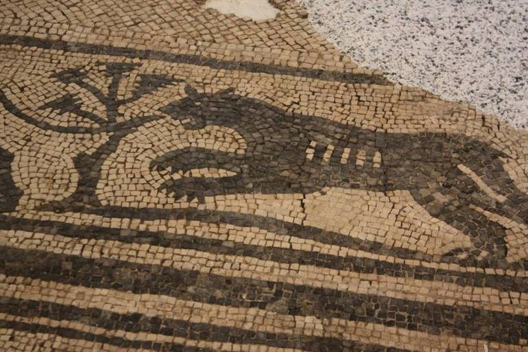Il mosaico di via Strinati, storia di una pantera che divenne orso