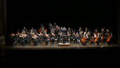 Nella foto, l'orchestra del Conservatorio Maderna, direttore Paolo Manetti