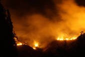 Incendi boschivi, prorogato fino al 5 marzo lo stato di attenzione nel cesenate e su tutto il territorio regionale