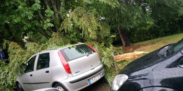 Nell'immagine l'auto colpita da un albero caduto oggi pomeriggio in via Villari a causa del forte temporale abbattutosi su Cesena