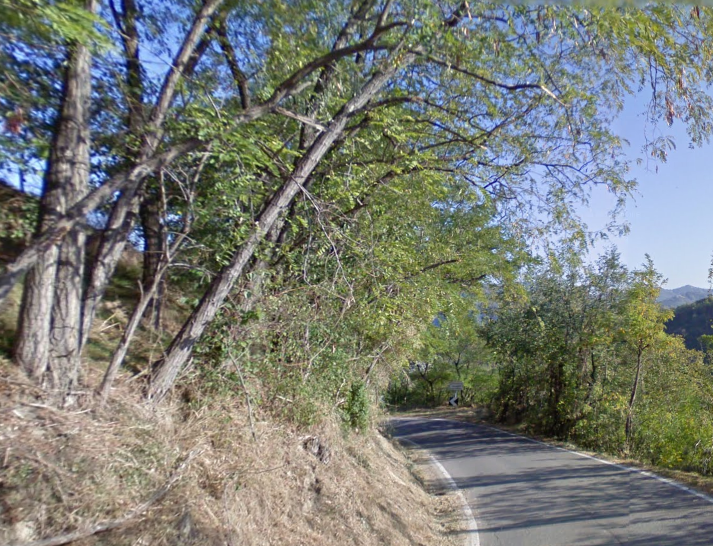 Via San Mamante (Google Maps)