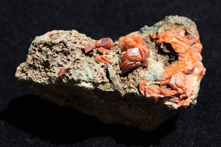 Minerali e fossili in mostra 