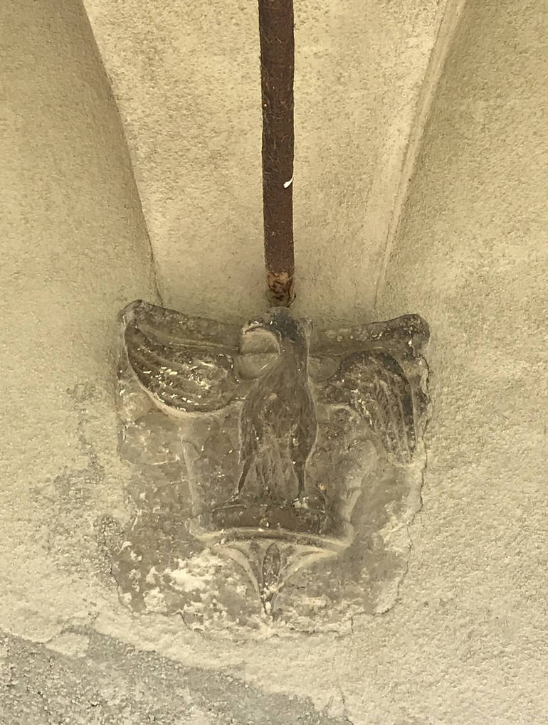 L'Aquila di Violante, effigie del casato dei Montefeltro nel chiostro di San Francesco
