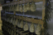 Sequestrati 38 culatelli in un magazzino a Cesena