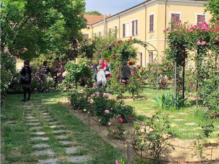 Una domenica per visitare il roseto dell'istituto agrario "Garibaldi-Da Vinci"
