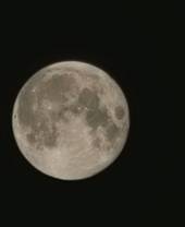 La luna del raccolto fotografata a Cesenatico 