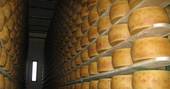 Ceta, Coldiretti "le esportazioni di Parmigiano Reggiano e di Grana Padano in Canada sono crollate del 10 per cento"