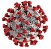 Coronavirus Covid-19: in Italia attualmente 162.409 persone positive (+1.723 nuovi casi) e 3.954.097 guariti. 574 pazienti in terapia intensiva, 52...