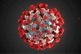 Coronavirus Covid-19: in Italia attualmente 93.017 positivi. Da inizio epidemia 4.358.533 casi e 128.088 deceduti