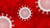 Coronavirus: in Emilia-Romagna 1.351 nuovi casi, 3.400 i guariti. Stabili i ricoveri nelle terapie intensive, crescono quelli nei reparti Covid