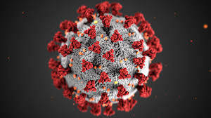 Coronavirus, l'aggiornamento nazionale: ad oggi 520.061 persone positive (+26.062 nuovi casi)