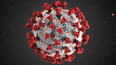 Coronavirus, l'aggiornamento regionale: su 21.860 tamponi, 1.545 nuovi positivi
