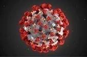 Coronavirus. L’aggiornamento: 2.500 nuovi positivi su oltre 30mila tamponi eseguiti