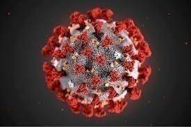 Coronavirus. L’aggiornamento in Emilia-Romagna: 1.898 nuovi positivi su 40mila tamponi eseguiti