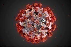 Coronavirus. L’aggiornamento in Emilia-Romagna: 2.467 nuovi casi, oltre 4.600 guariti