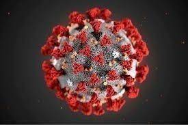 Coronavirus. L’aggiornamento in Emilia-Romagna: 412 nuovi positivi su quasi 27mila tamponi effettuati (1,5%)