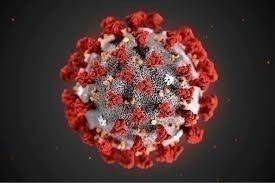 Coronavirus. L’aggiornamento in Emilia-Romagna: 565 nuovi positivi su 20.866 tamponi (2,7%), 283 i guariti