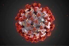 Coronavirus. L’aggiornamento settimanale in Emilia-Romagna: dal 30 dicembre 2022 al 5 gennaio 2023 registrati 9.406 nuovi casi, quasi 12.600 guariti