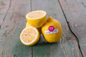 I limoni per la ricerca. 'Citrus – L’Orto Italiano' con la fondazione Veronesi per finanziare la ricerca scientifica 