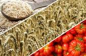 Più tre per cento per l'export agroalimentare italiano, un record 