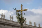 Veglia delle Palme a Bologna guidata dal cardinal Matteo Zuppi