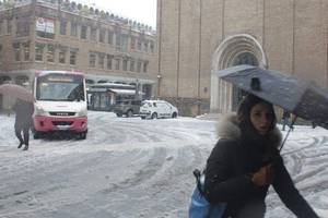 Neve a Cesena - 22 febbraio mattina - Sandra e Urbano fotografi (08)