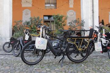 Le bici (foto: Sandra e Urbano, Cesena)