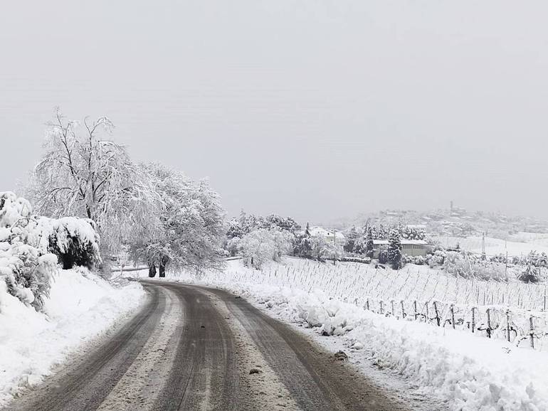 Neve nelle campagne di Savignano sul Rubicone