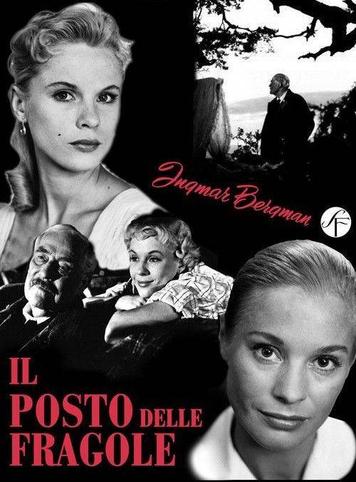 Poster italiano del film