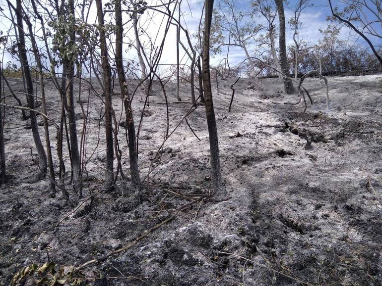 Foto e aggiornamenti sull'incendio nel territorio di Sogliano