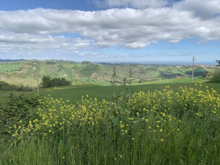 Nella foto, le colline di Romagna in uno scatto di lunedì scorso, 25 aprile