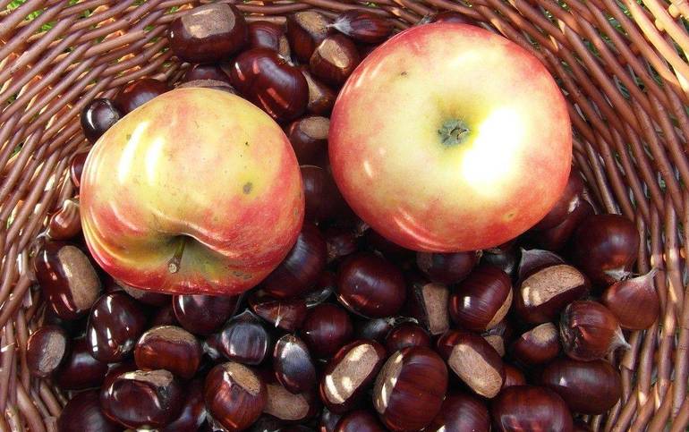 frutta autunnale (pixabay)