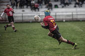 Verona Rugby-Romagna RFC 53-15