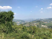 La Valle del Savio. Foto archivio Corriere Cesenate
