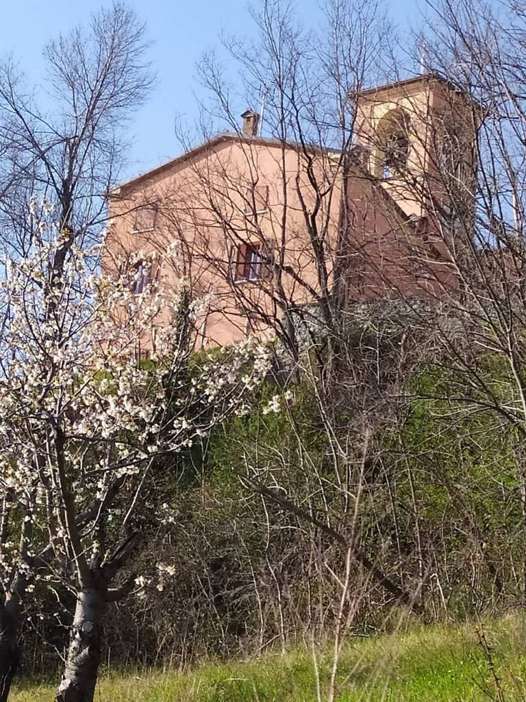 Montepetra. La chiesa/eremo e la primavera