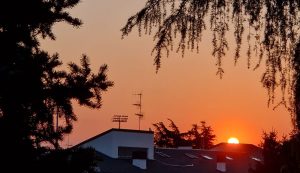 La fotografia è stata scattata da Pier Giorgio Marini, questa mattina